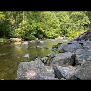 Meet your Posher, Mara